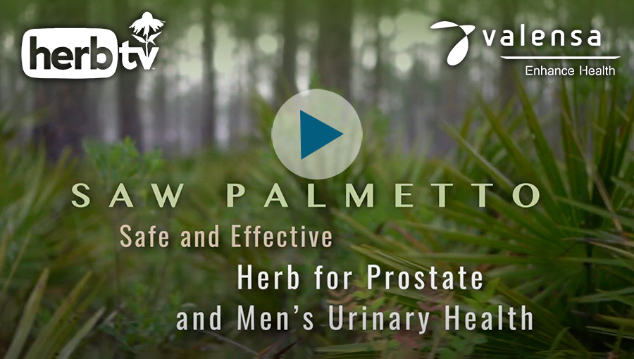 Saw Palmetto: Safe and Effective Herb for Prostate and Men’s Urinary Health